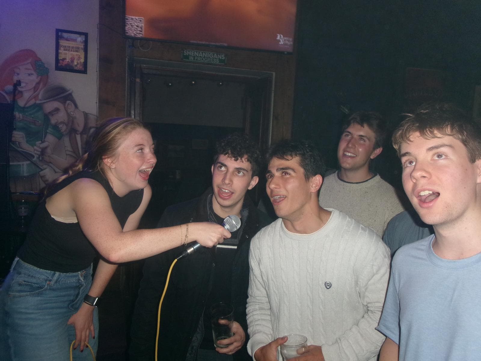 Karaoke night in Prague